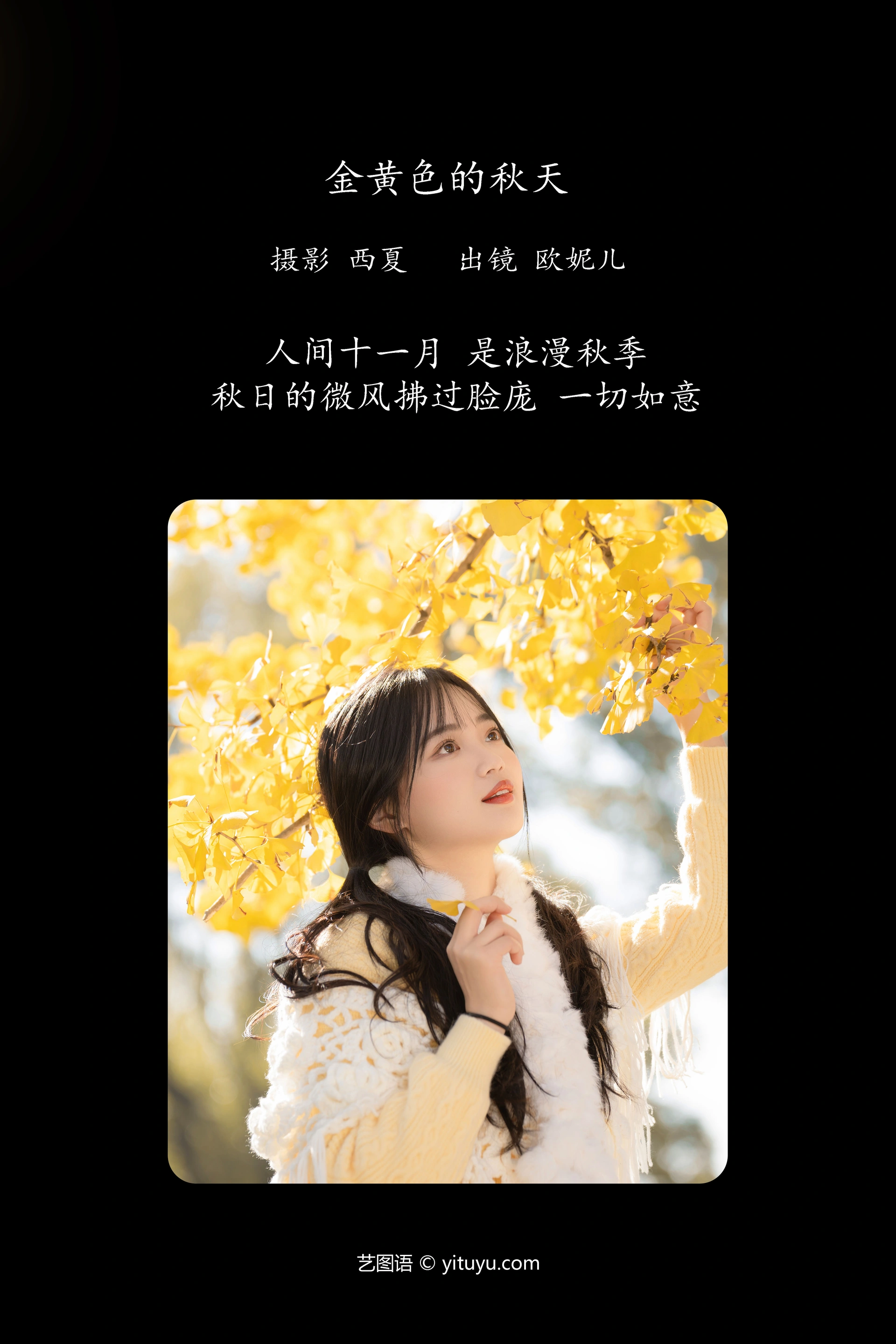[YITUYU艺图语]2023.12.26 金黄色的秋天 小欧O 1
