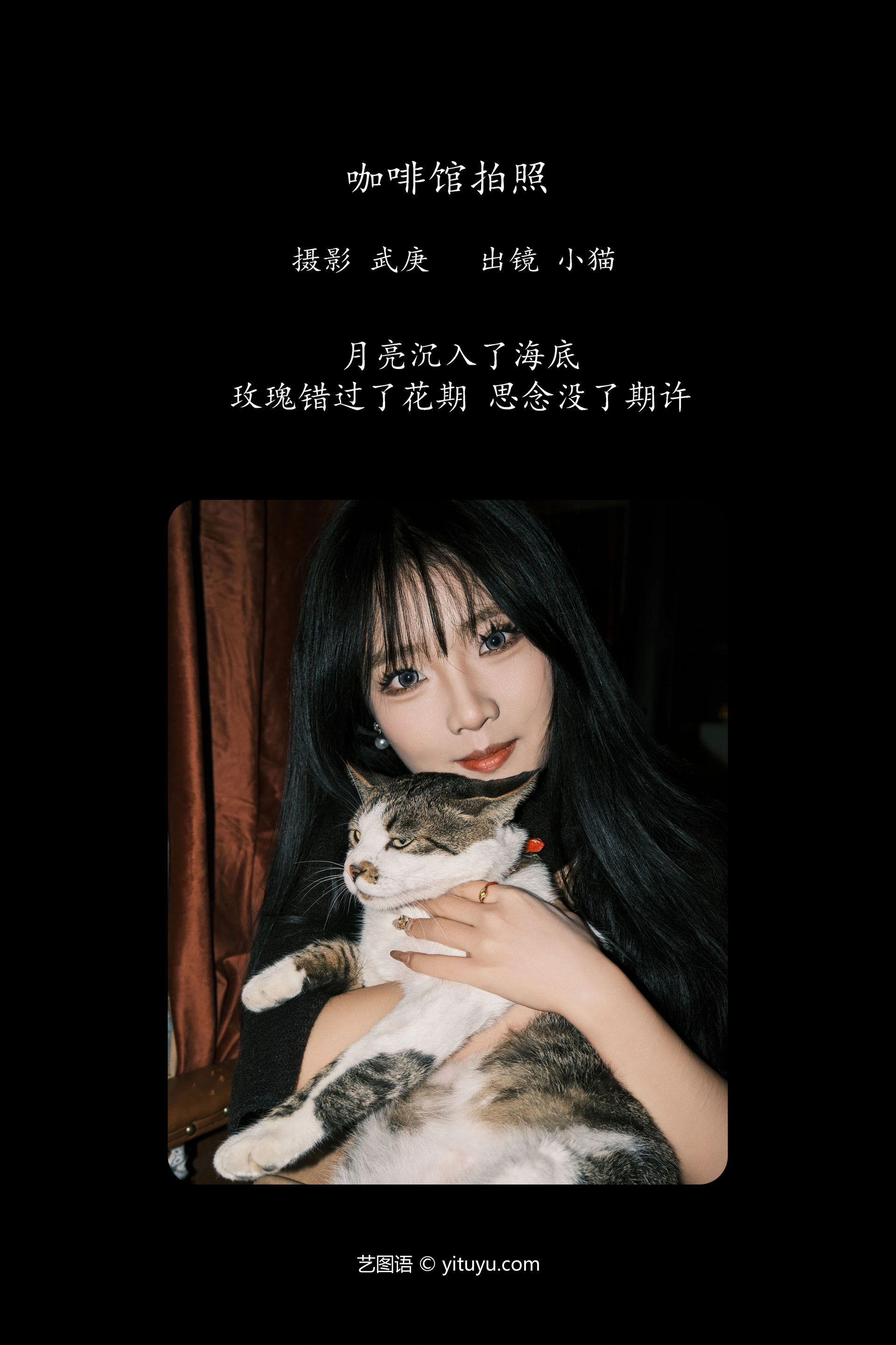 [YITUYU艺图语]2023.12.27 咖啡馆拍照 小猫 1